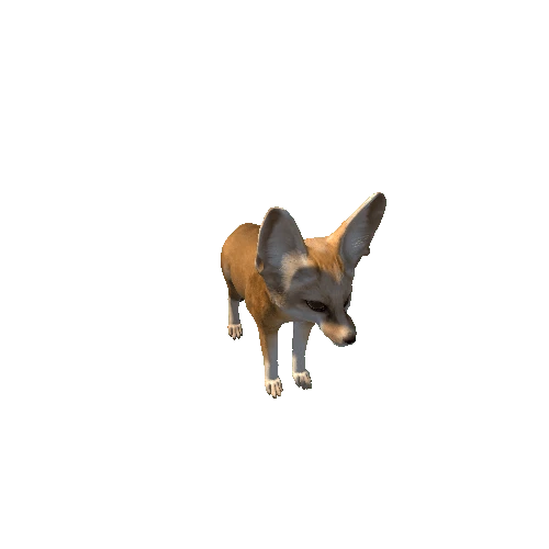 Fennec