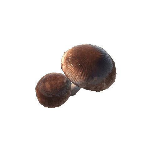 Mushroom_Brown_Double_LODgrp