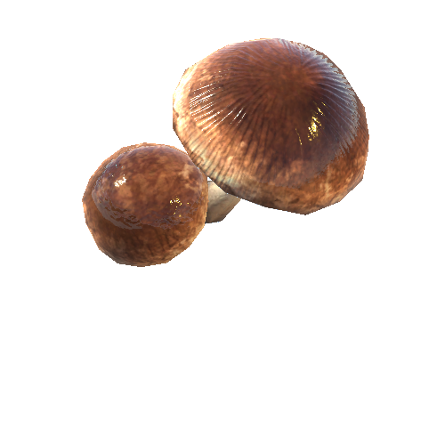Mushroom_Brown_Double_LODgrp_1