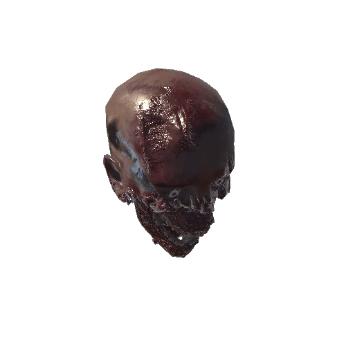 Head_03