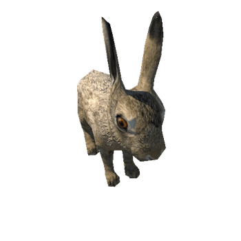 Hare_cub_LowPoly_IP