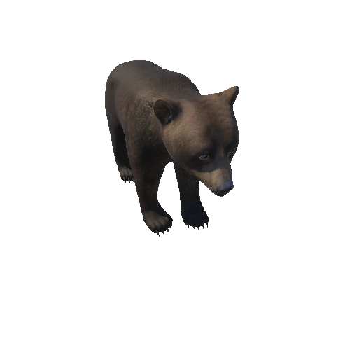 Bear_cub_HighPoly_IP