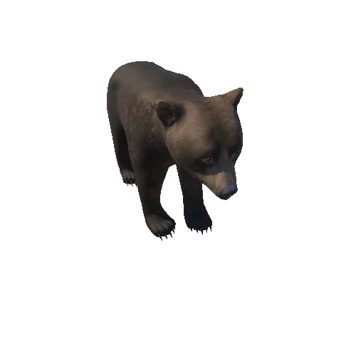 Bear_cub_LOD_IP