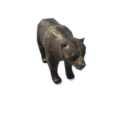 Bear_female_LowPoly