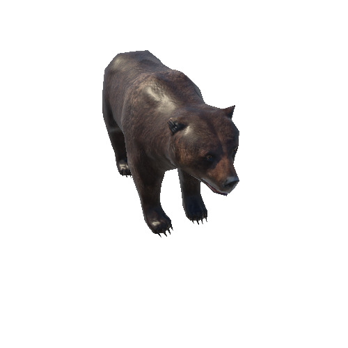 Bear_female_LowPoly_2