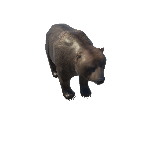 Bear_male_LowPoly_RM