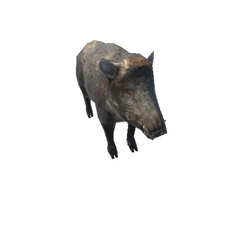 Boar_Female_Mobile_IP