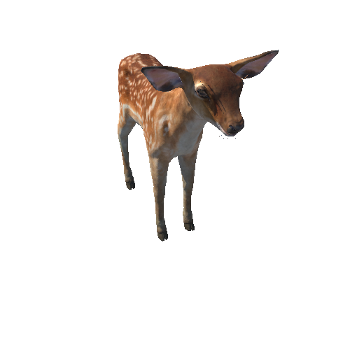 Deer_calf_HighPoly_IP