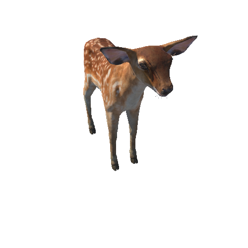 Deer_calf_LODs_RM