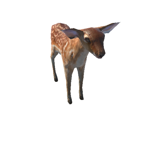 Deer_calf_LowPoly_IP