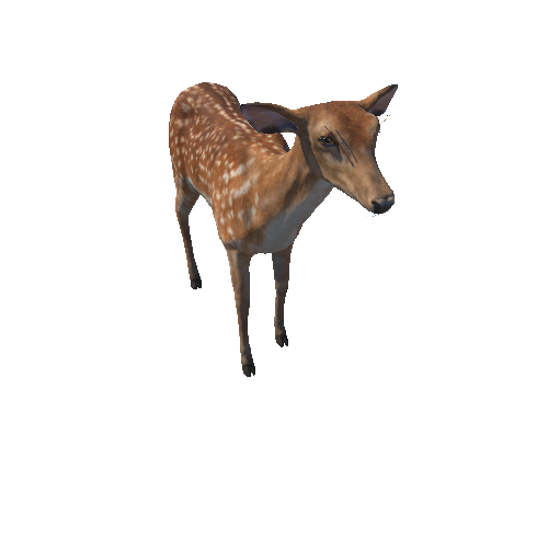 Deer_doe_HighPoly_IP