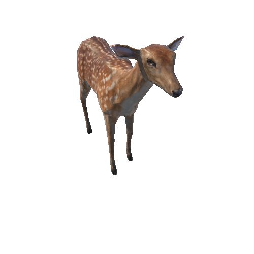 Deer_doe_LowPoly_IP