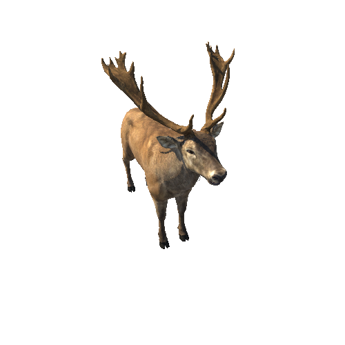 Deer_red_HighPoly_IP