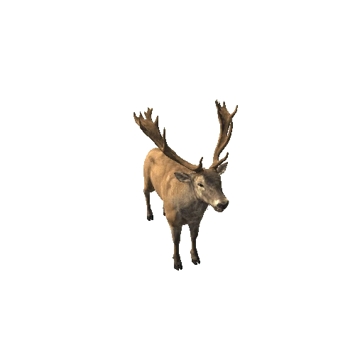 Deer_red_HighPoly_IP