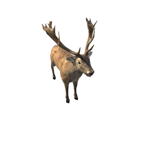 Deer_red_LowPoly_IP