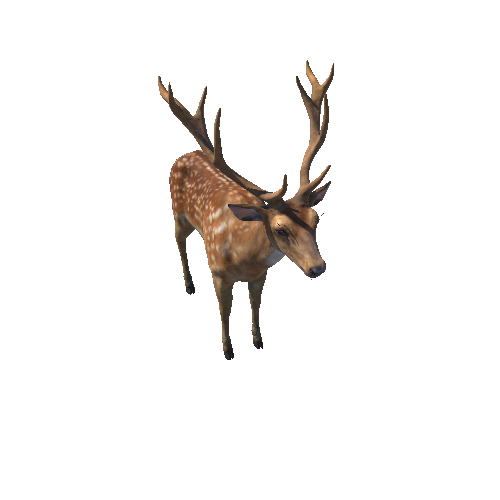 Deer_stag_HighPoly_RM