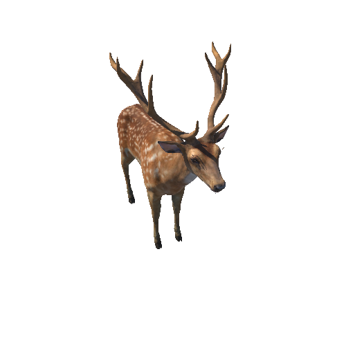 Deer_stag_LODs_IP