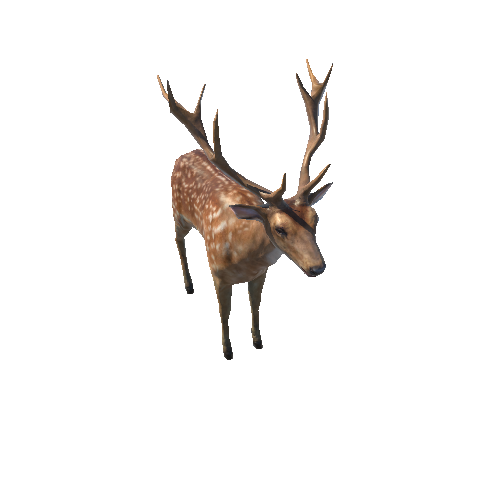 Deer_stag_LowPoly_IP