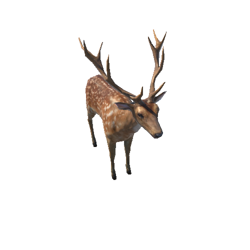 Deer_stag_LowPoly_RM