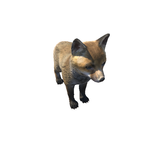 Fox_cub_full_IP