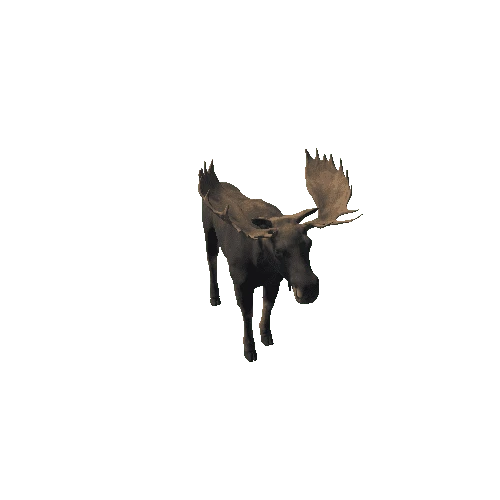 Moose_bull_HighPoly_IP