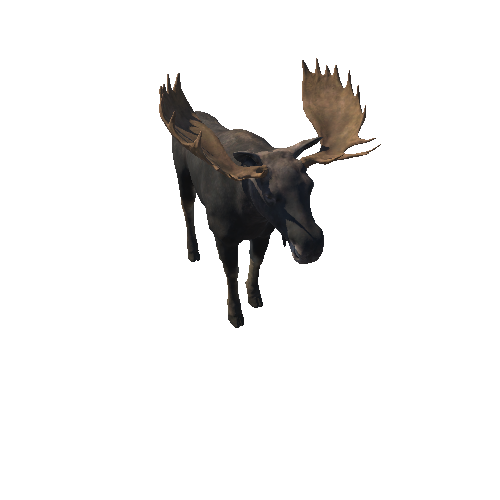 Moose_bull_HighPoly_RM