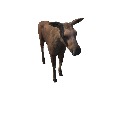 Moose_calf_HighPoly_IP