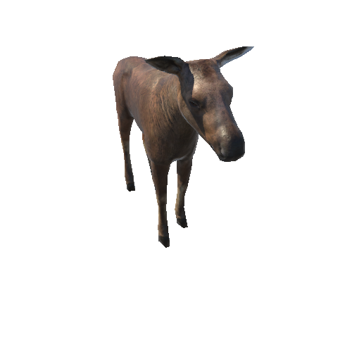 Moose_calf_LowPoly_IP