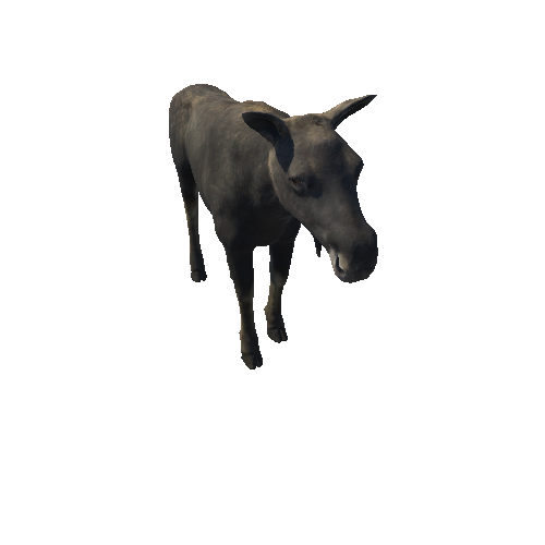 Moose_cow_HighPoly_IP