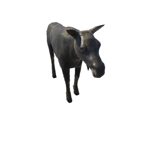 Moose_cow_LowPoly_RM