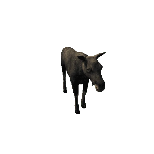 Moose_cow_LowPoly_RM