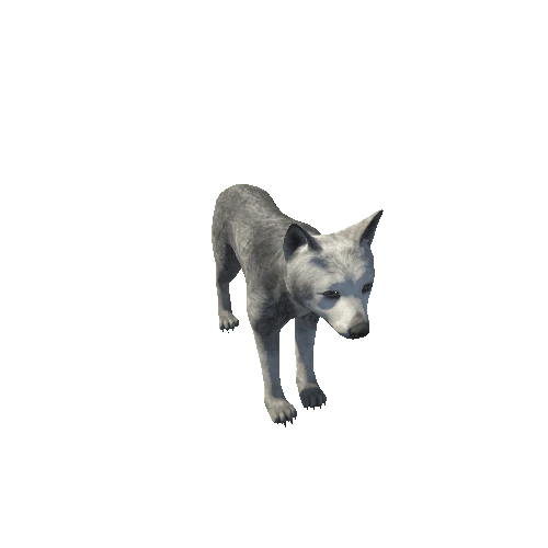 Wolf_cub_HighPoly_IP