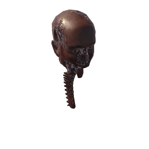 Head_W_Spine_05_01