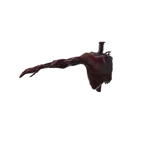 Torso_With_Arm_Mutilated_01
