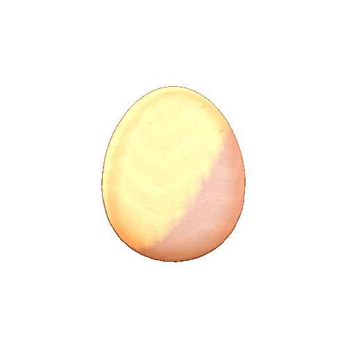 Egg_Chicken