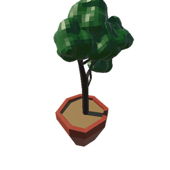 Tree5