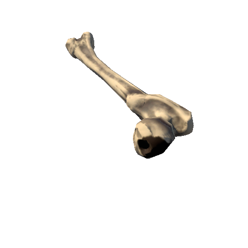 Femur_left