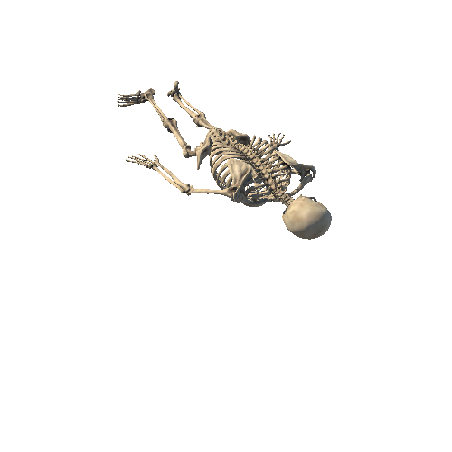 Skeleton_Pose_7