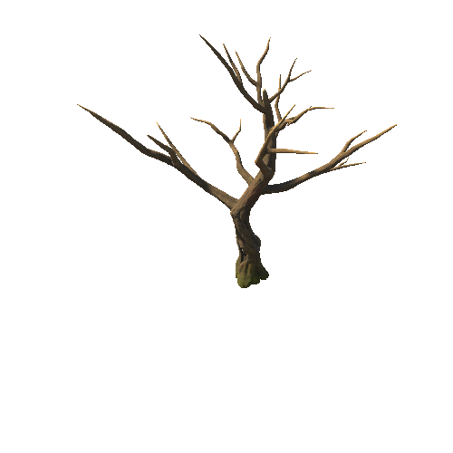 DryTree1_1