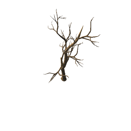 DryTreeT1_branch3