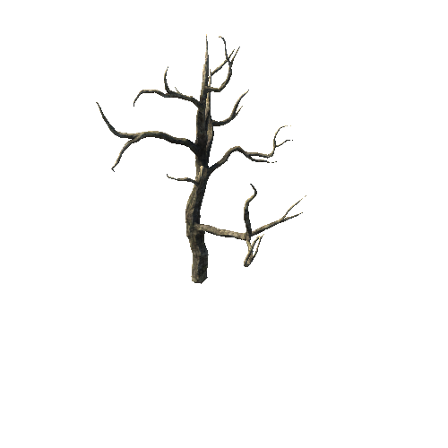 DryTreeT3_branch2