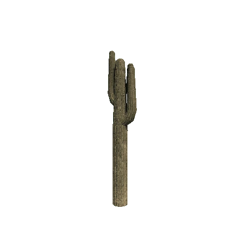 Cactus_Tall_V2