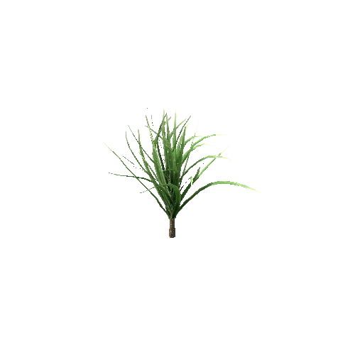 Spiky_Plant_V1