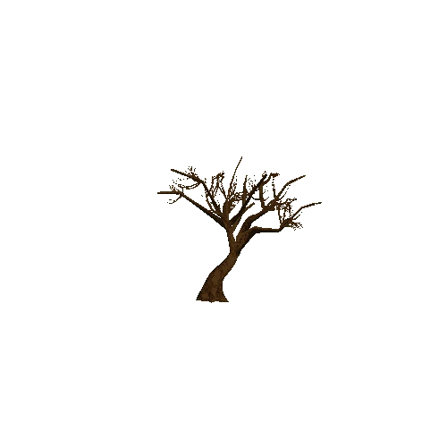 Thorn_Tree_02