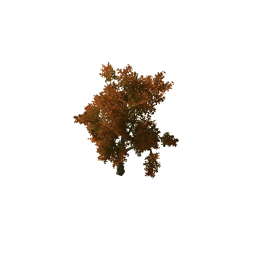 Beech_Tree_V3_1