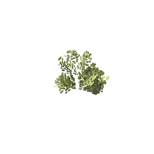 Bush_Small_Leafy_V5_1