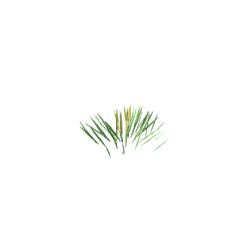 Edelweiss_Grass_V1_1