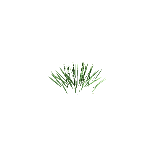 Edelweiss_V2