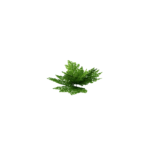 Fern_Leafy_V1_1