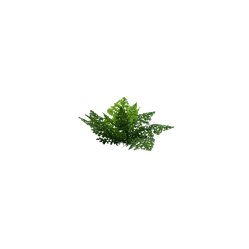 Fern_Leafy_V4